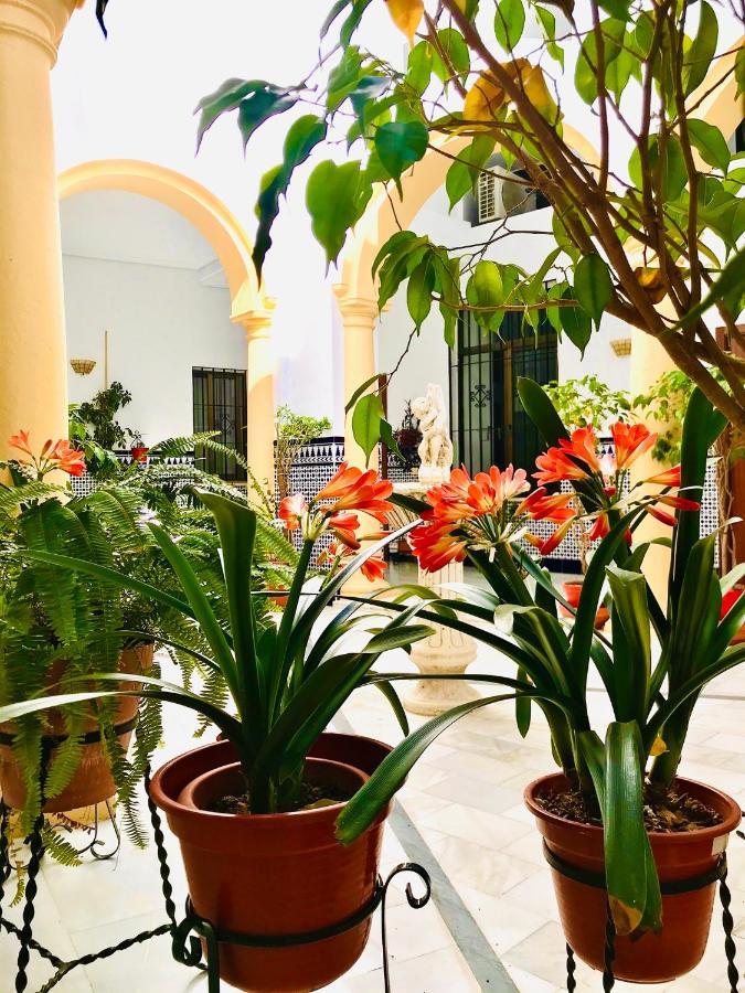 Fabuloso Loft En Centro Historico De Cordoba Con Parking Bajo Reserva Tendillas Mezquita-Catedral Esterno foto
